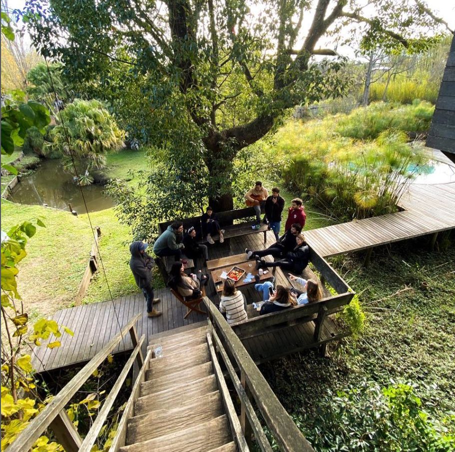 Deck bajo el árbol con un grupo conversando